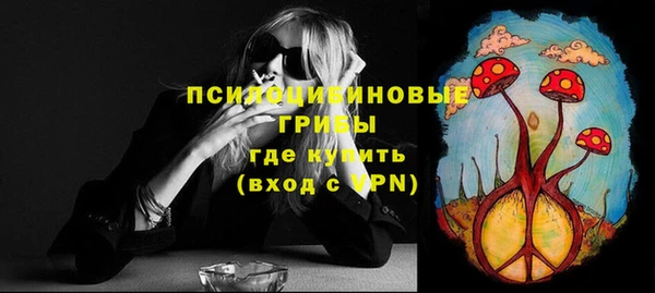 не бодяженный Заводоуковск