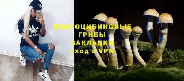 не бодяженный Заводоуковск
