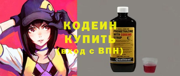 не бодяженный Заводоуковск