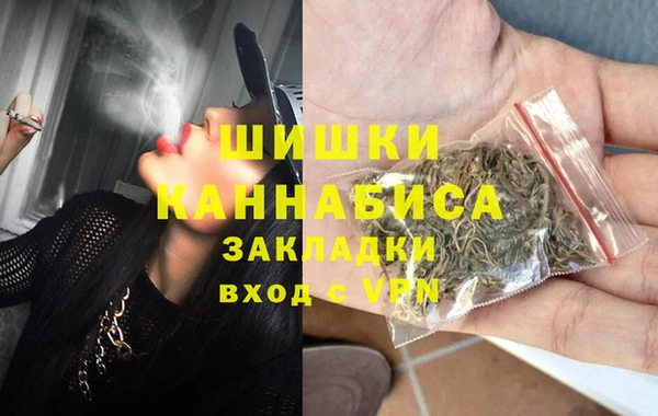 не бодяженный Заводоуковск
