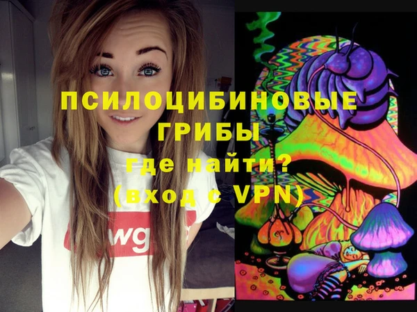 дживик Заволжск