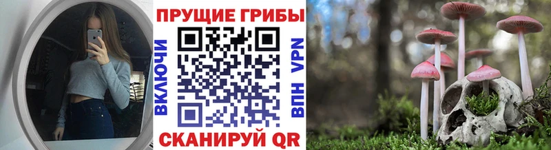 кракен рабочий сайт  Карабаново  Псилоцибиновые грибы мухоморы 